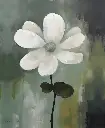 1002-2016-PR284.webp