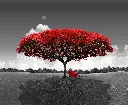 1002-1620-VE27-CR3.webp