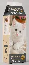 kitten-puzzle.webp