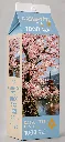 Japan cherry blossom trees_puzzle.webp