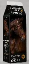 abbey horse_puzzle.webp