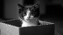 5001-1117-PR161.webp