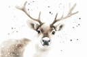 16143.webp