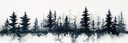 15805.webp
