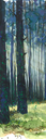 5929.webp