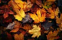 5001-1117-PR357.webp