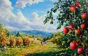 5001-1117-PR355.webp