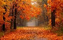 5001-1117-PR365.webp