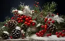 5003-1117-PL354.webp