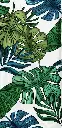 Image 7.webp