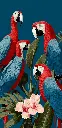 Image.webp