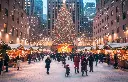 5003-1117-PR344.webp