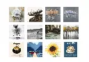 1002-1620-05 (1).webp