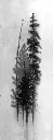 1002-3612-LA64.webp