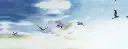 1002-1236-CO141-1.webp