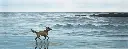 1002-1236-CO152-CR3.webp