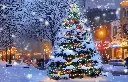 5003-1117-PR348.webp