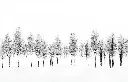 5003-1117-PR346.webp