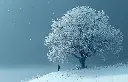 5003-1117-PR345.webp