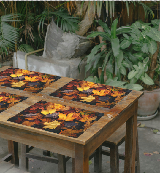Sets de table en pp 11x17