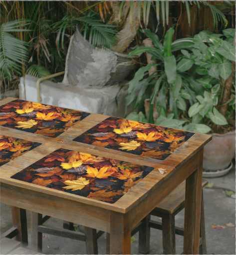 [5001111799] Sets de table en pp 11x17